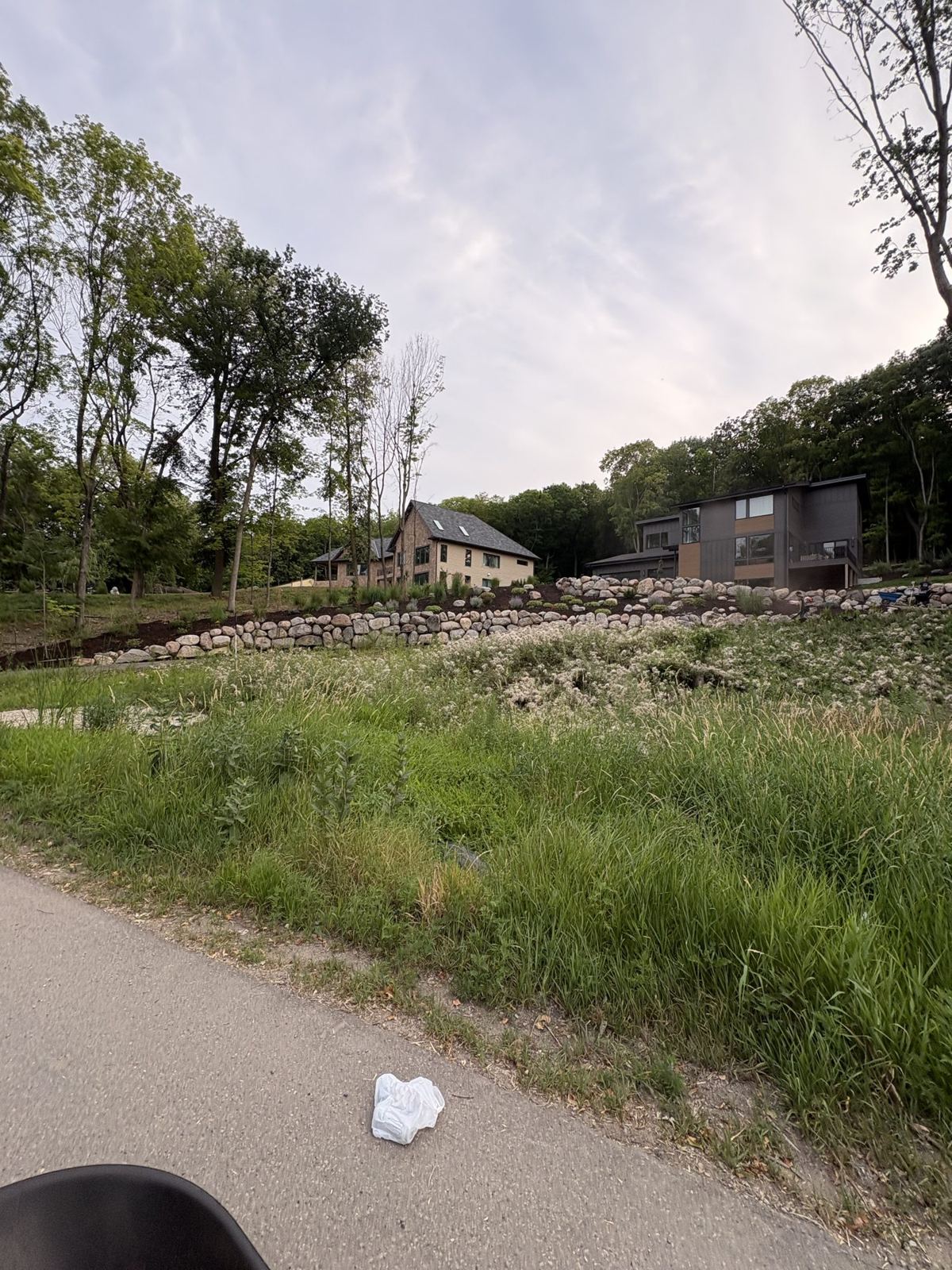 Hillside beds & plantings