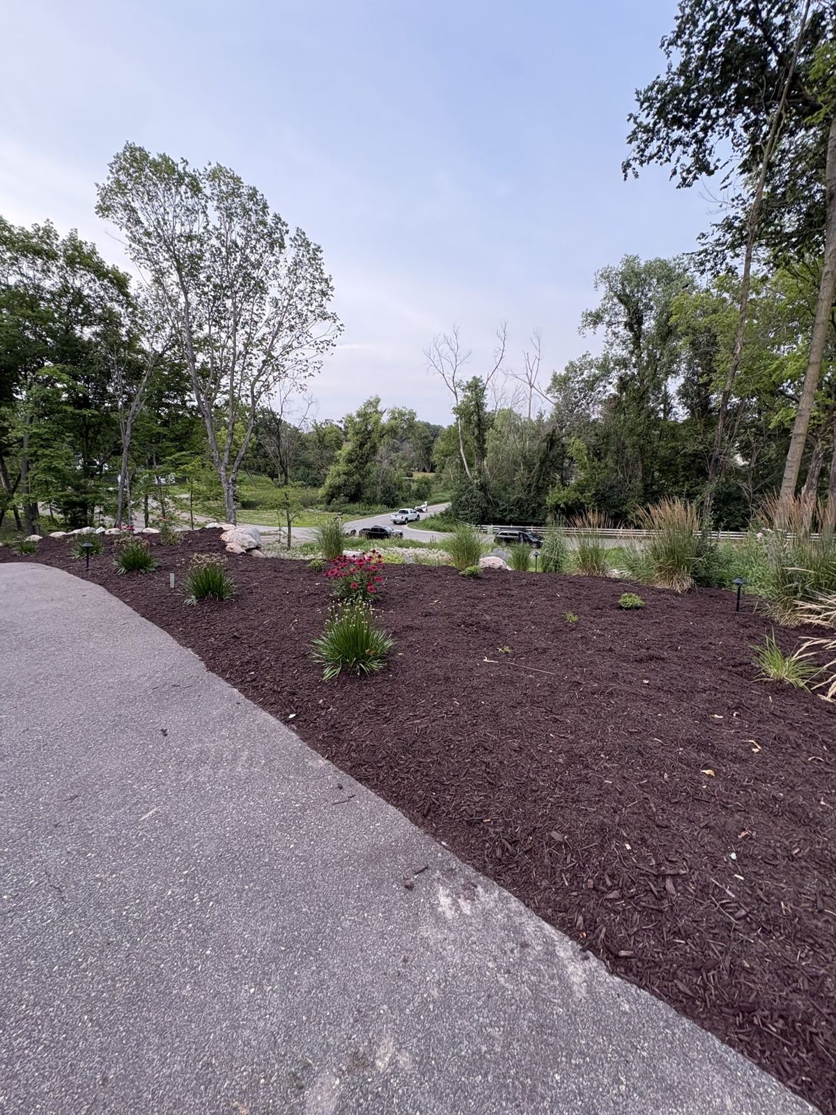 Flower bed & mulch