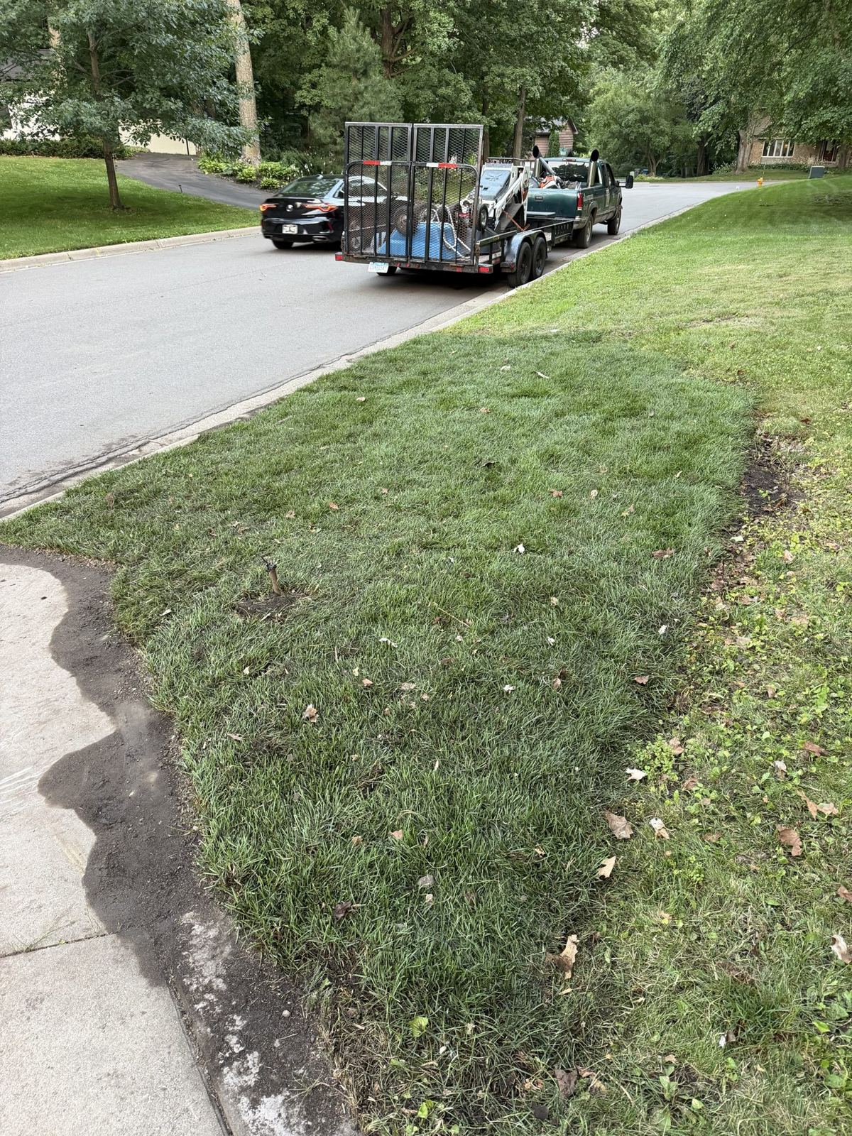 Fresh sod installation